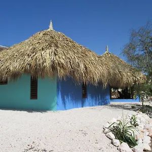 https://don-genaro-apartments.comcaribbean.com
